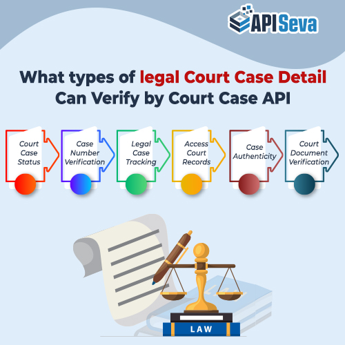 What Types of Legal Court Case Detail Verify by Court Case API
