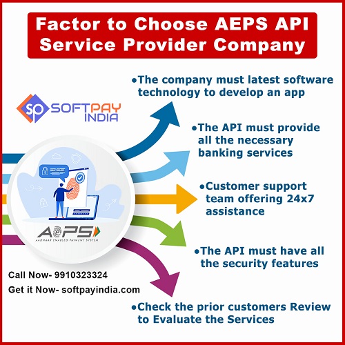 How to Choose AEPS API Service Provider Company